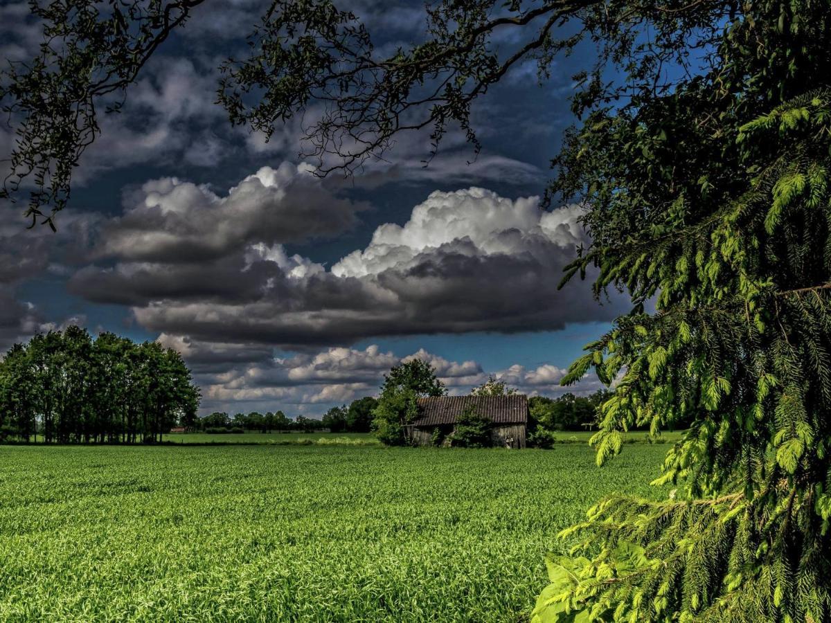 Staying In A Thatched Barn With Box Bed Beautiful View Region Achterhoek Geesteren  Exterior foto