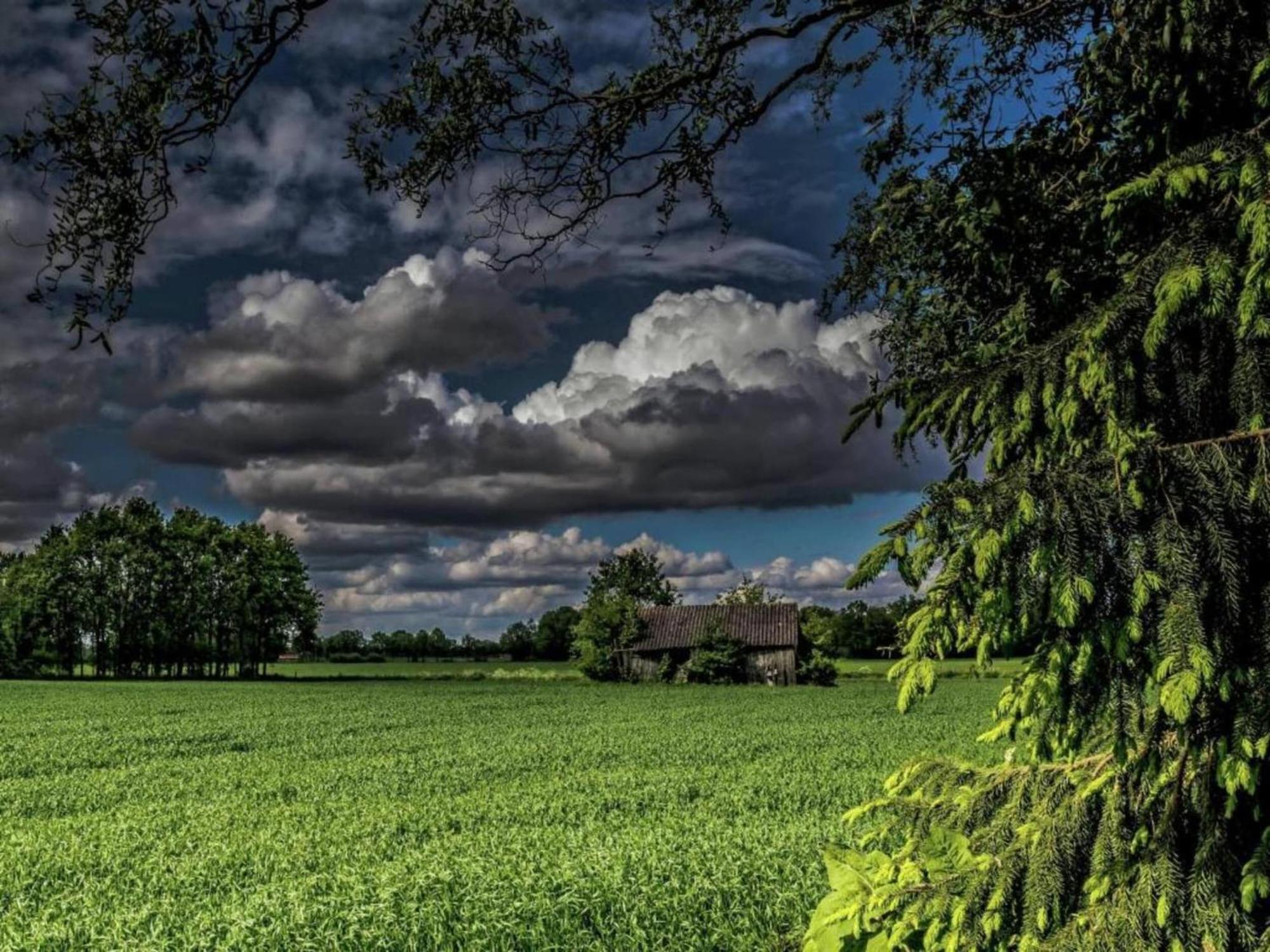Staying In A Thatched Barn With Box Bed Beautiful View Region Achterhoek Geesteren  Exterior foto